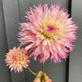 Pinelands Princess