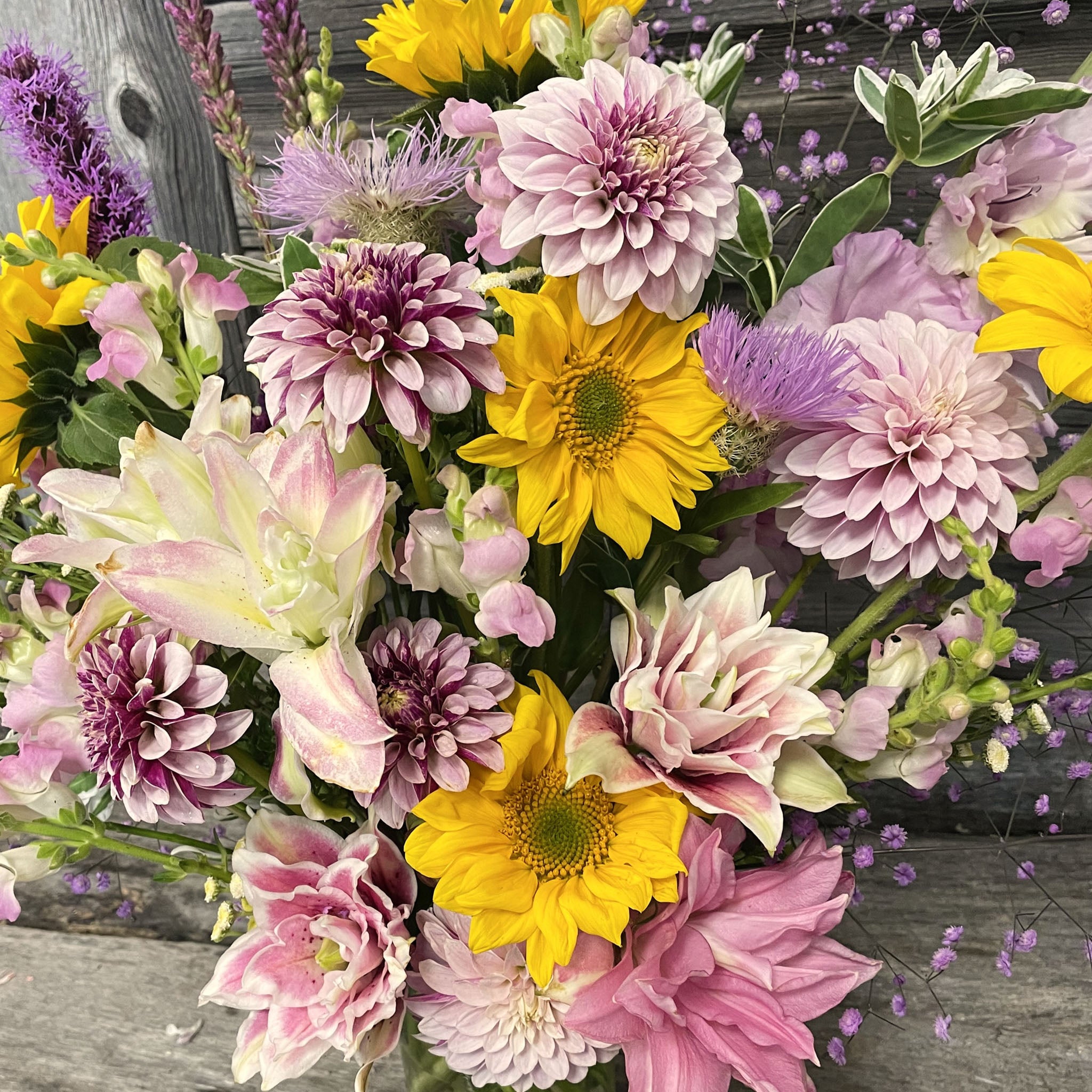 Salish Twilight Girl